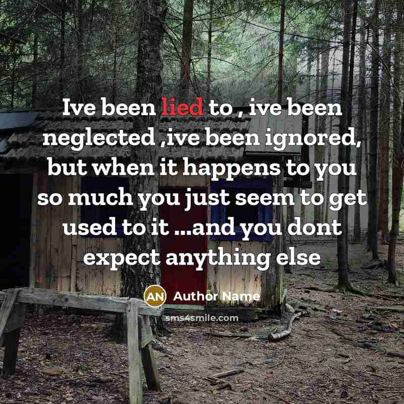 “Ive been lied to , ive been neglected ,ive been ignored, but when it happens to you so much you just seem to get used to it ...and you dont expect anything else” quote by Author Name