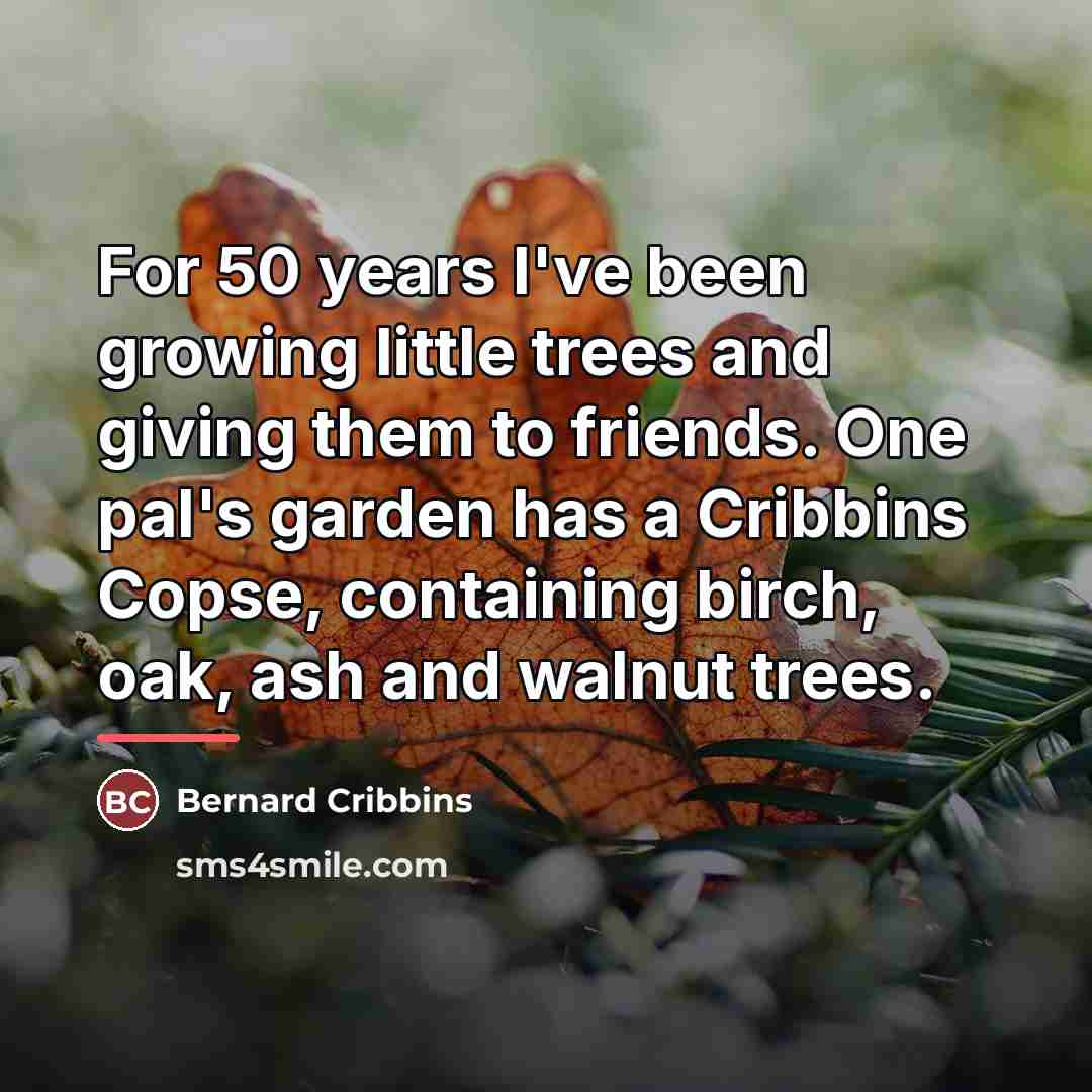 “For 50 years I've been growing little trees and giving…” quote by Bernard Cribbins