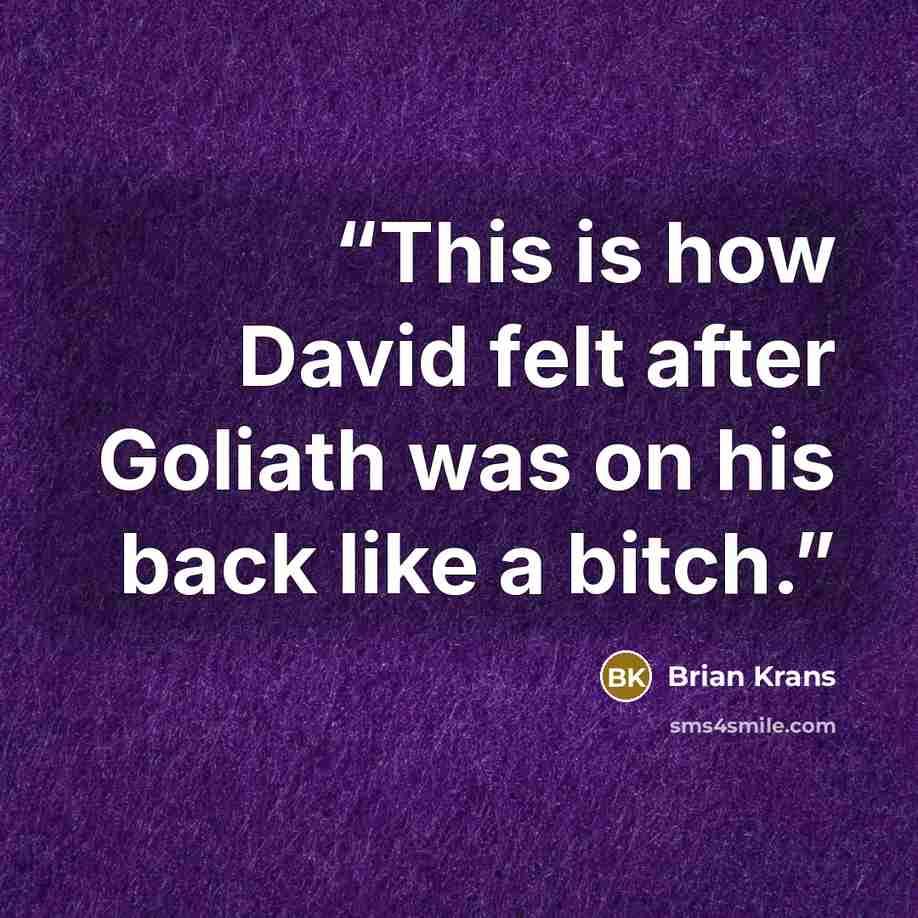 “This is how David felt after Goliath was on his back like a bitch.” quote by Brian Krans