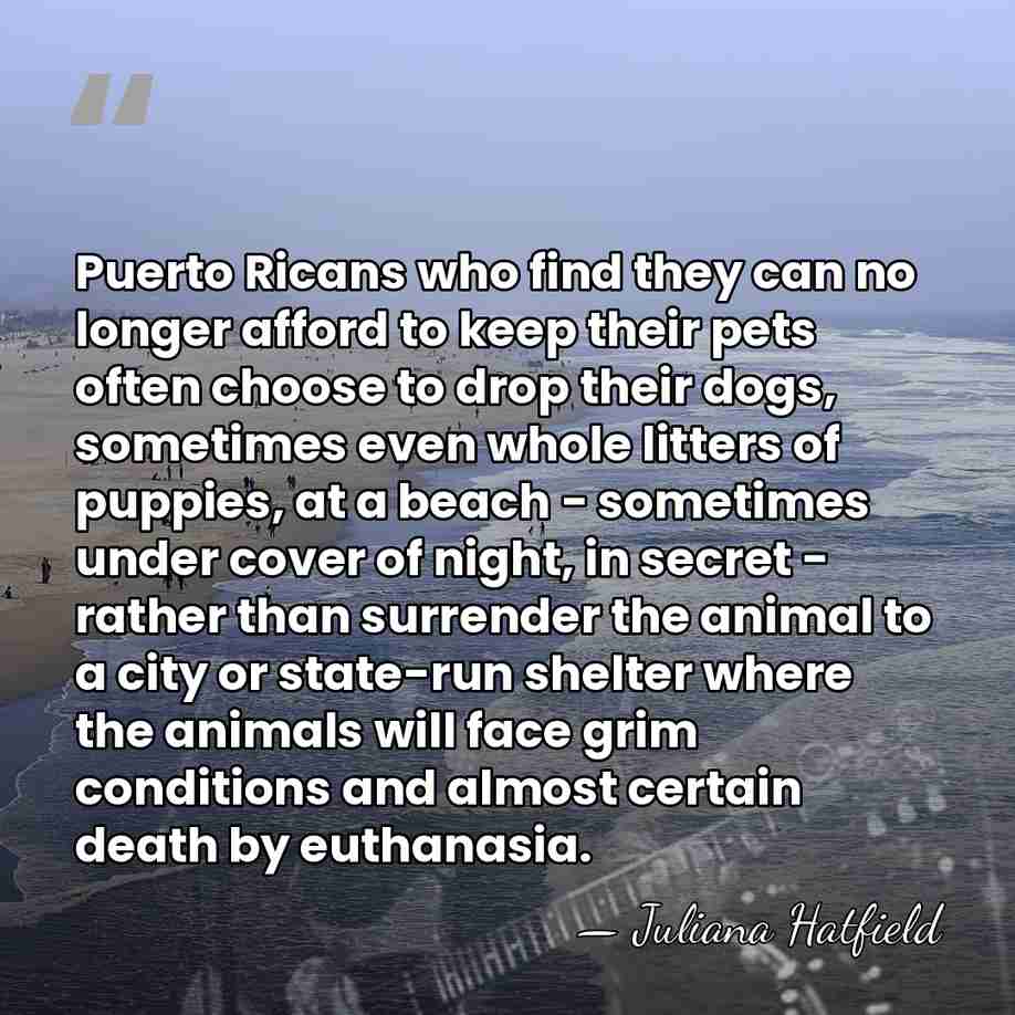 Puerto Ricans who find they can no longer afford to keep their&hellip; - Juliana Hatfield