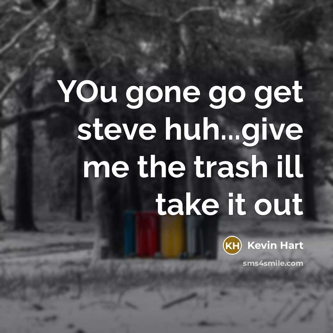 “YOu gone go get steve huh...give me the trash ill take it out” quote by Kevin Hart