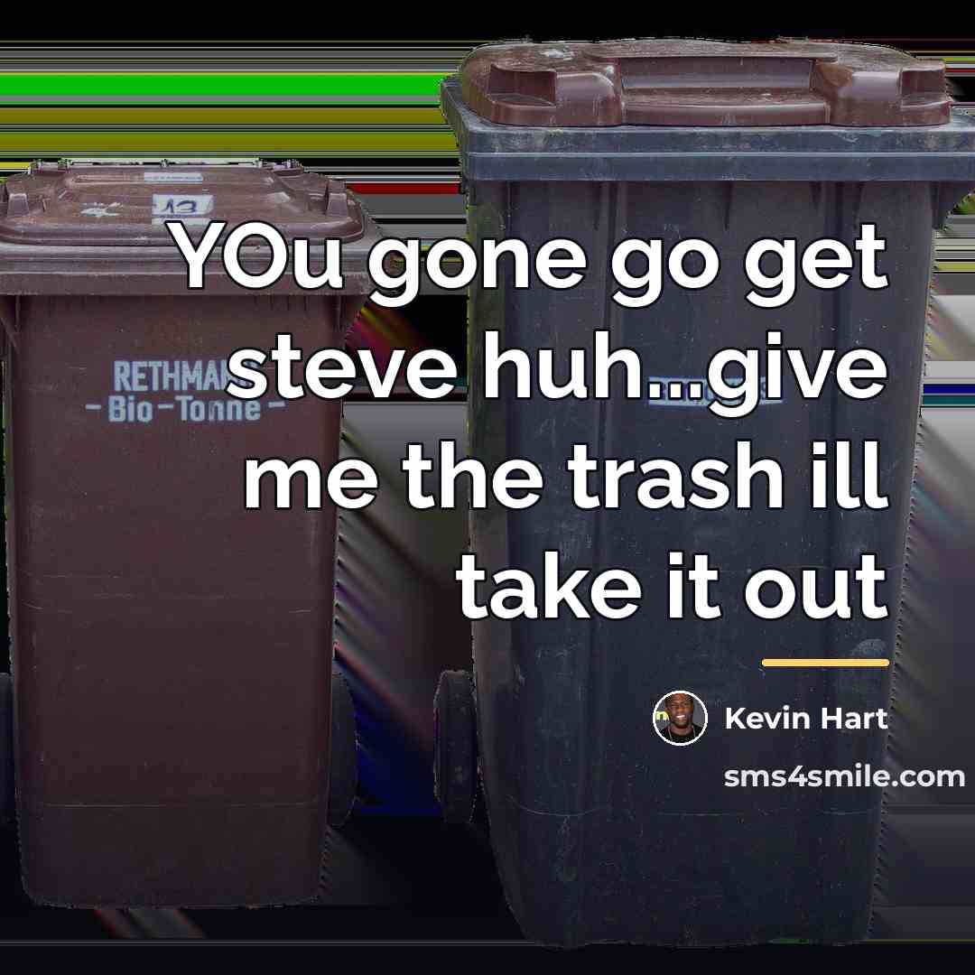 “YOu gone go get steve huh...give me the trash ill…” quote by Kevin Hart