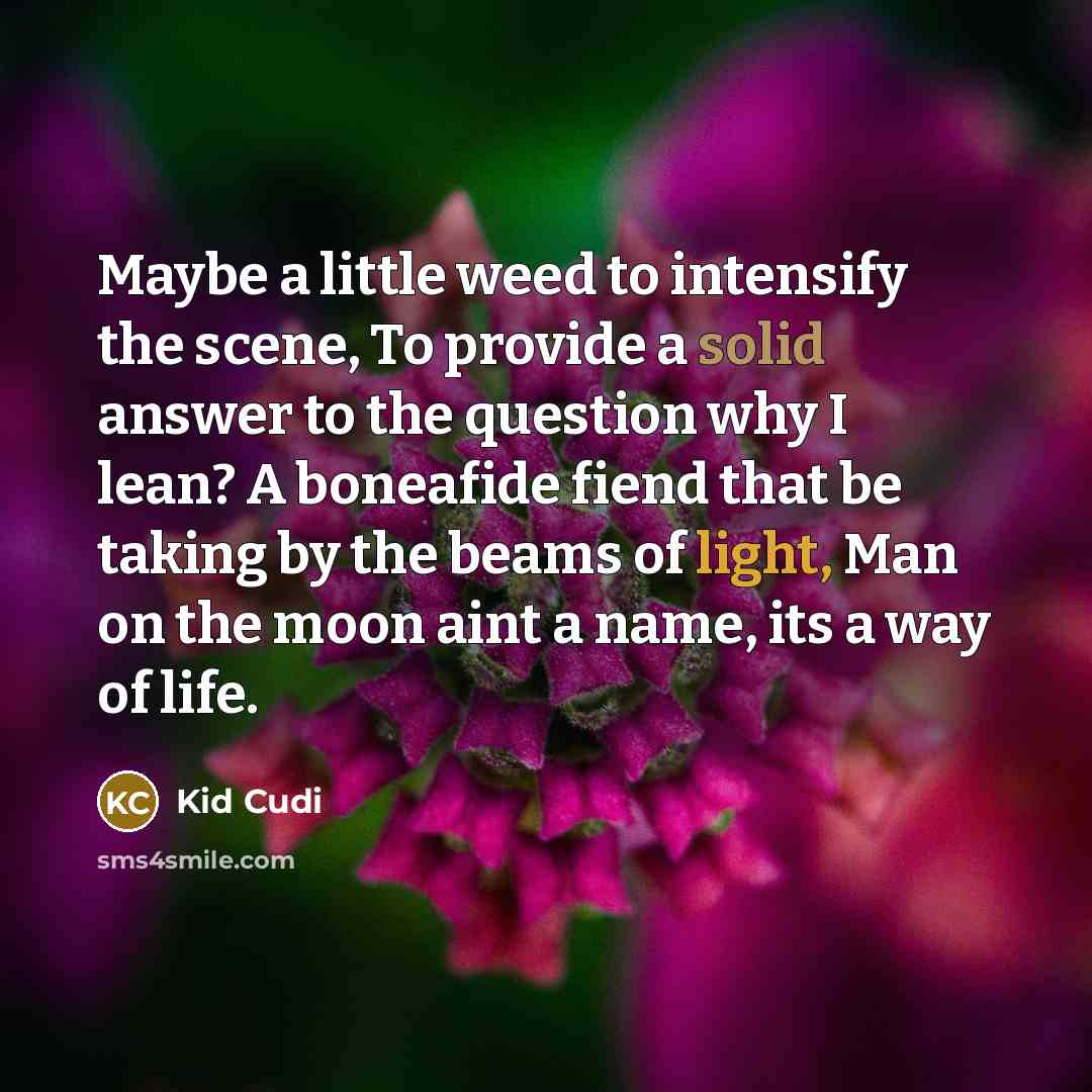 “Maybe a little weed to intensify the scene, To provide…” quote by Kid Cudi