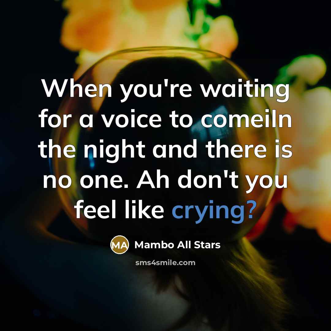 “When you're waiting for a voice to comeiIn the night…” quote by Mambo All Stars