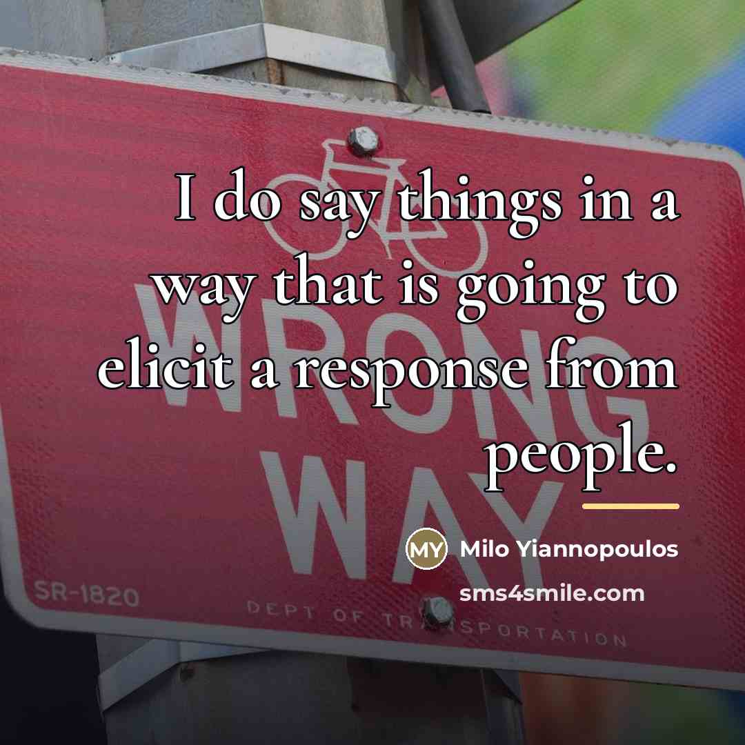 “I do say things in a way that is going…” quote by Milo Yiannopoulos