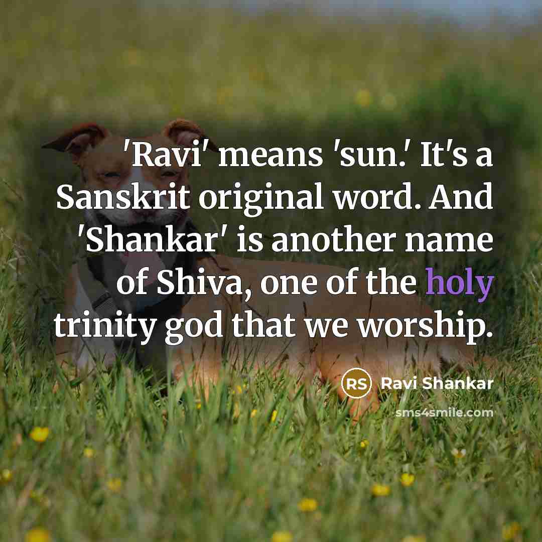 “'Ravi' means 'sun.' It's a Sanskrit original word. And 'Shankar'…” quote by Ravi Shankar