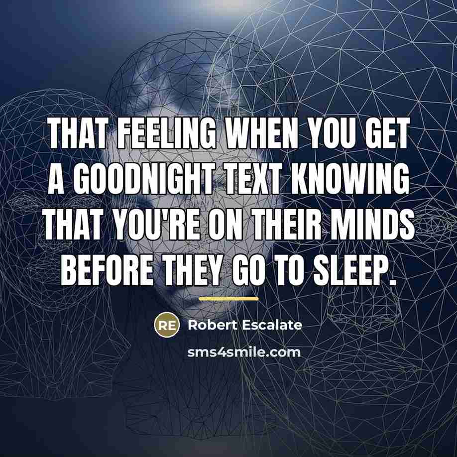 “That feeling when you get a goodnight text knowing that…” quote by Robert Escalate