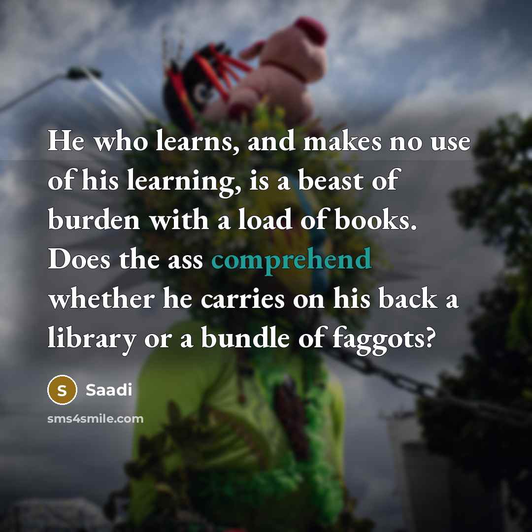 “He who learns, and makes no use of his learning,…” quote by Saadi