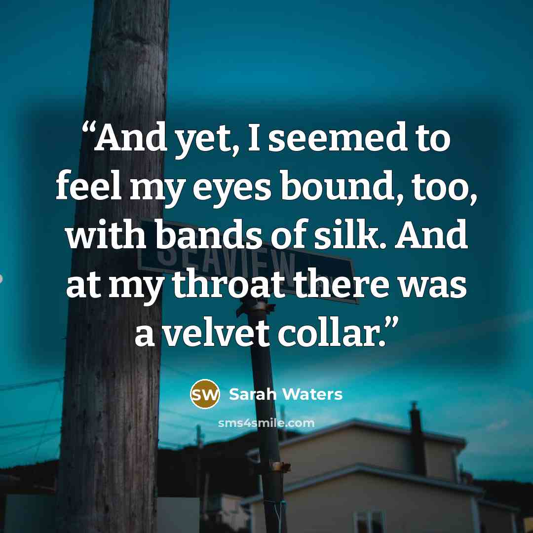 “And yet, I seemed to feel my eyes bound, too, with bands of silk. And at my throat there was a velvet collar.” quote by Sarah Waters