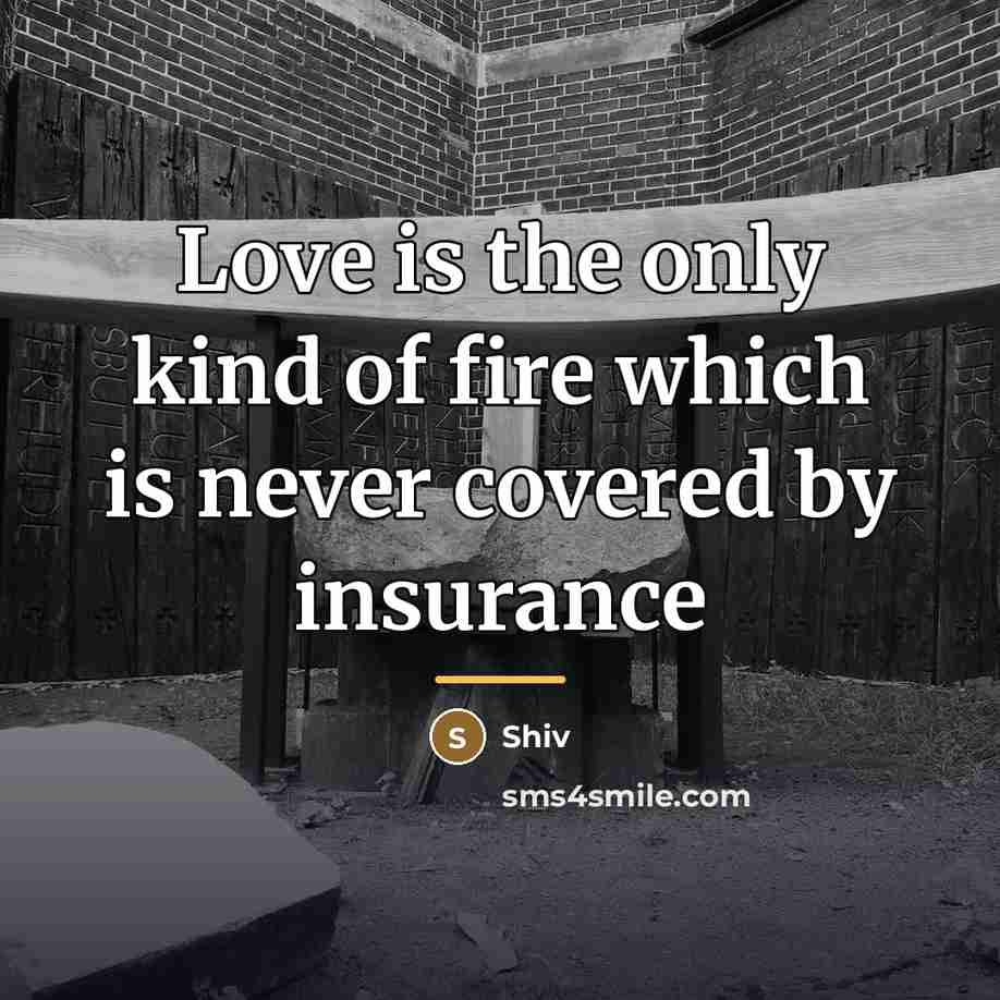 “Love is the only kind of fire which is never…” quote by Shiv