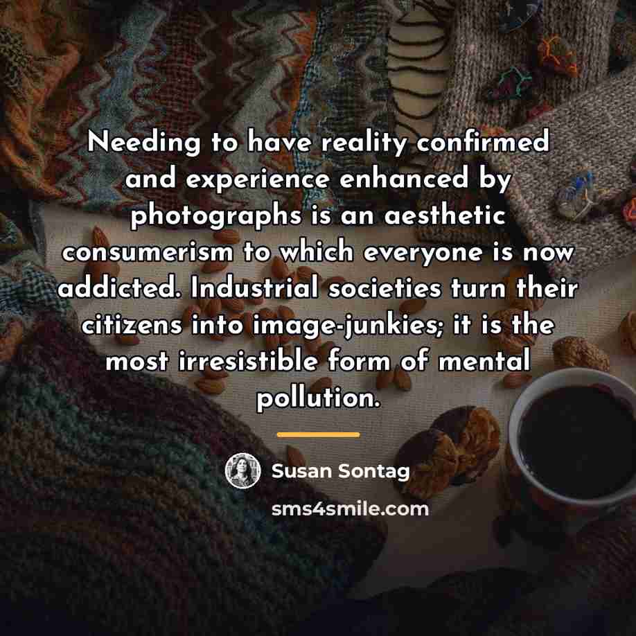 “Needing to have reality confirmed and experience enhanced by photographs…” quote by Susan Sontag