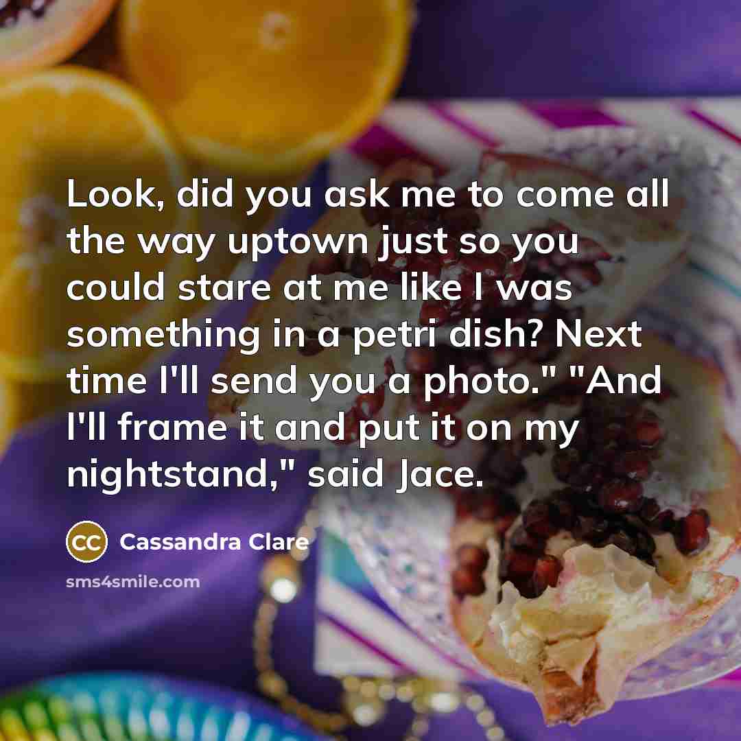 “Look, did you ask me to come all the way…” quote by Cassandra Clare