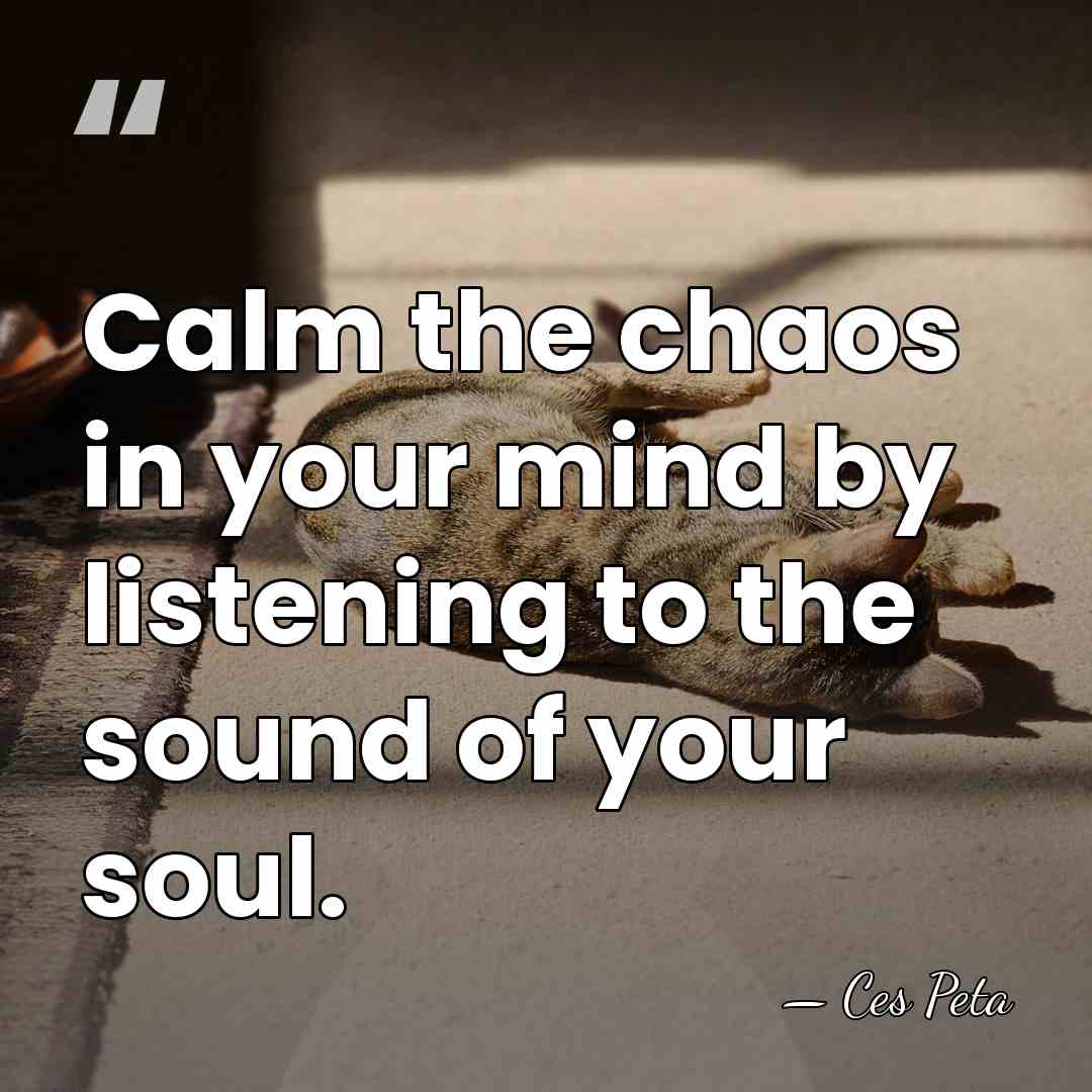 Calm the chaos in your mind by listening to the sound of&hellip; - Ces Peta