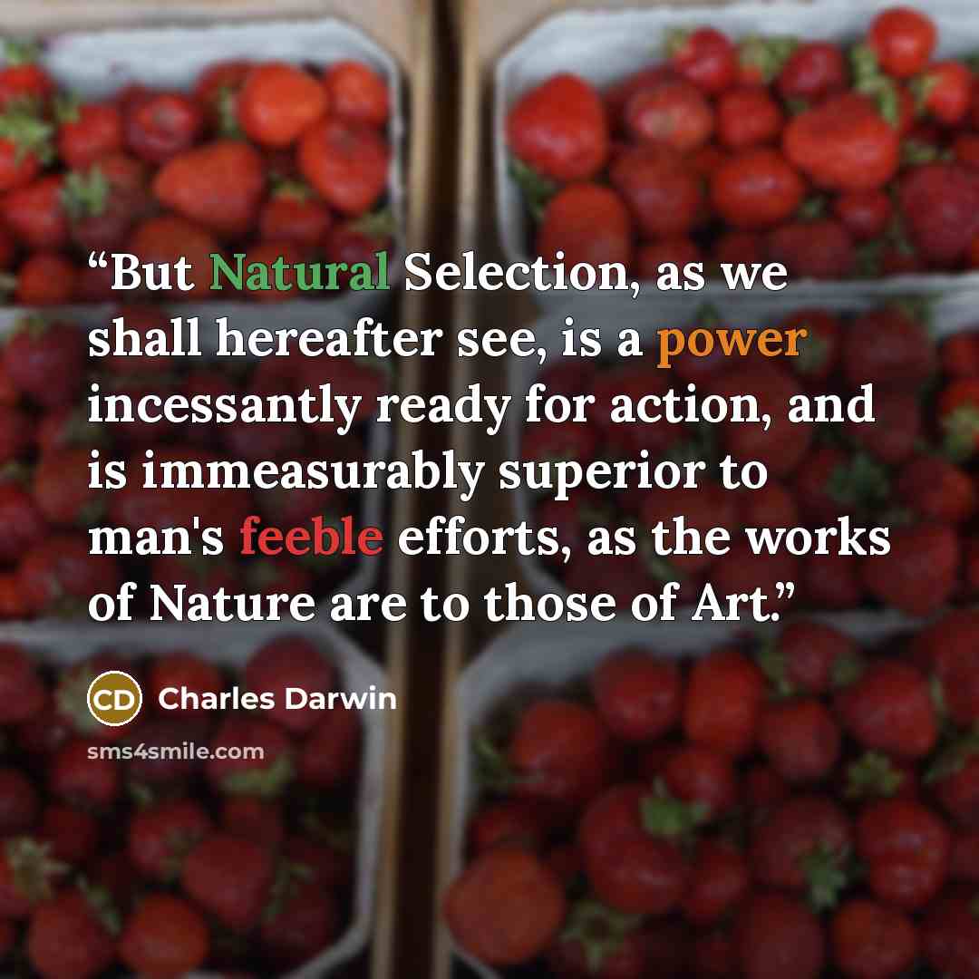 “But Natural Selection, as we shall hereafter see, is a power incessantly ready for action, and is immeasurably superior to man's feeble efforts, as the works of Nature are to those of Art.” quote by Charles Darwin