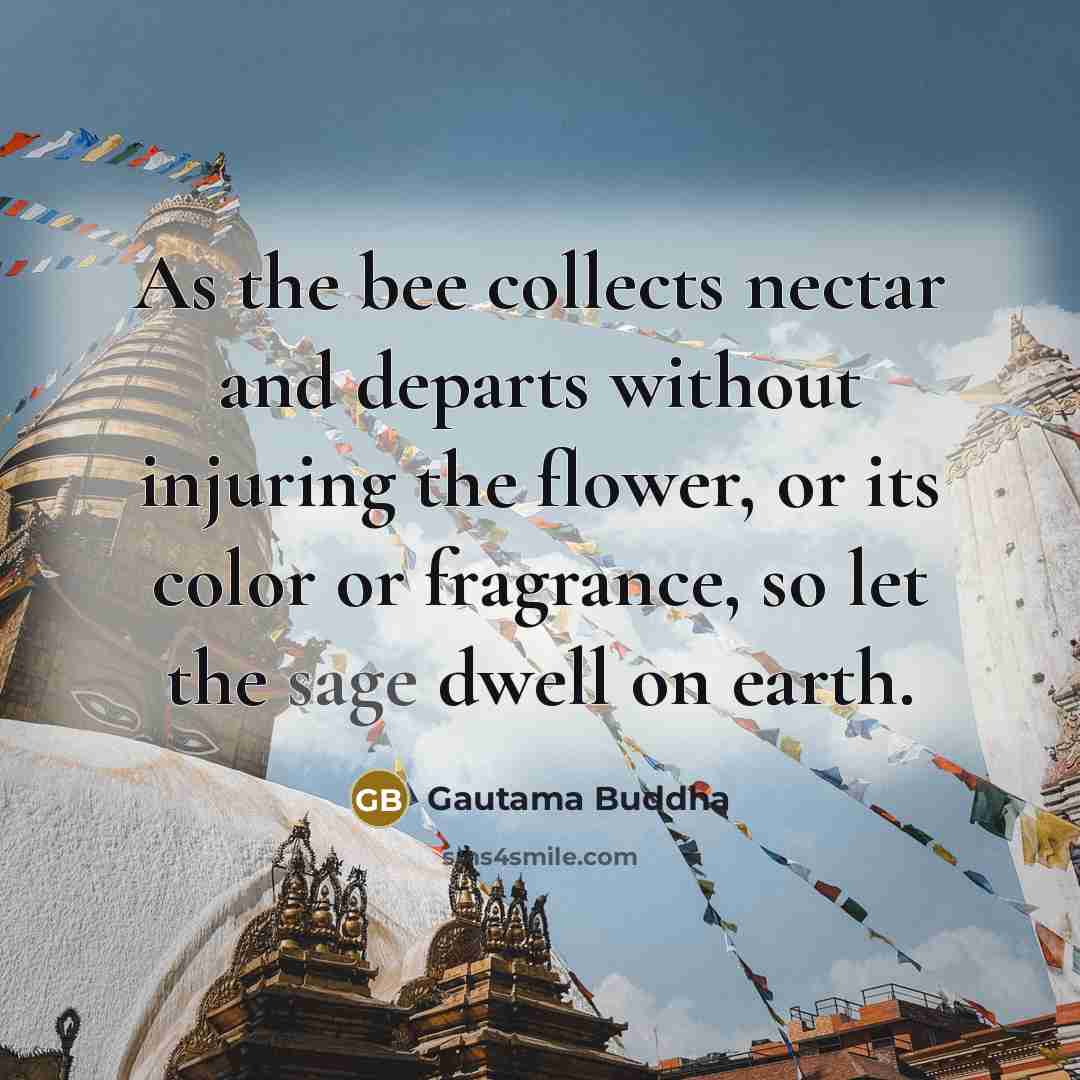 “As the bee collects nectar and departs without injuring the…” quote by Gautama Buddha
