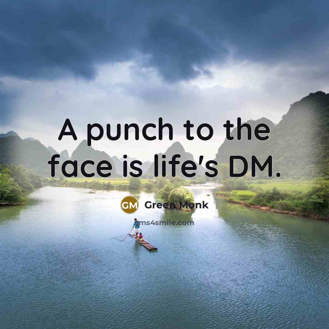 “A punch to the face is life's DM.…” quote by Green Monk