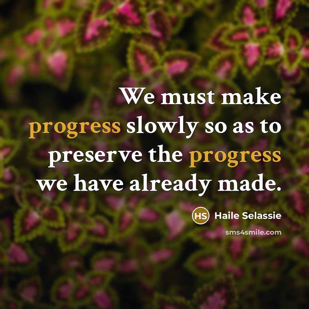 “We must make progress slowly so as to preserve the…” quote by Haile Selassie