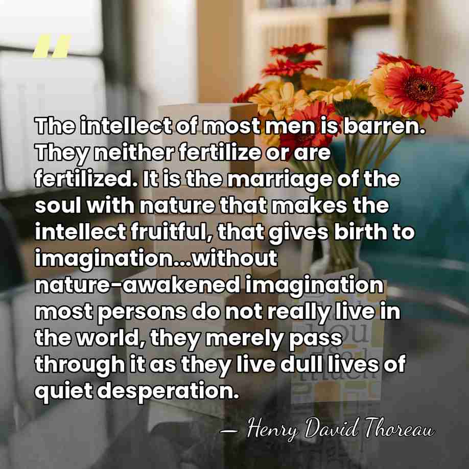 The intellect of most men is barren. They neither fertilize or are&hellip; - Henry David Thoreau