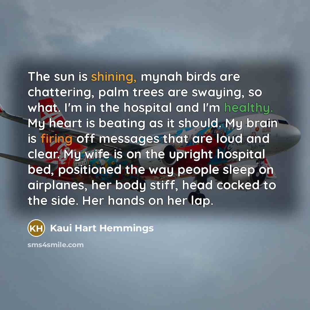 “The sun is shining, mynah birds are chattering, palm trees…” quote by Kaui Hart Hemmings