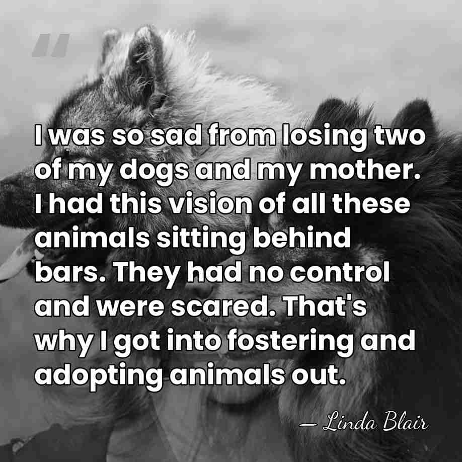 I was so sad from losing two of my dogs and my&hellip; - Linda Blair