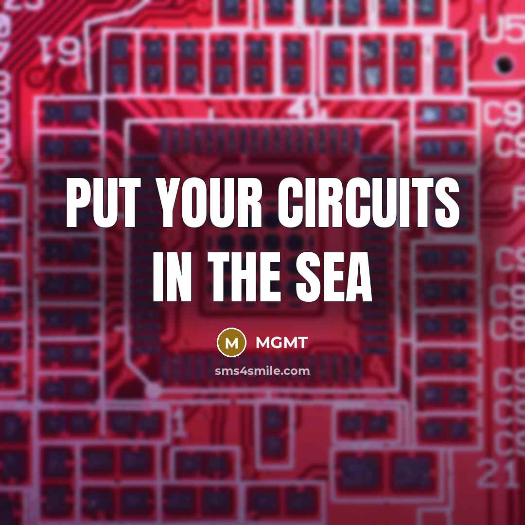 “Put your circuits in the sea…” quote by MGMT
