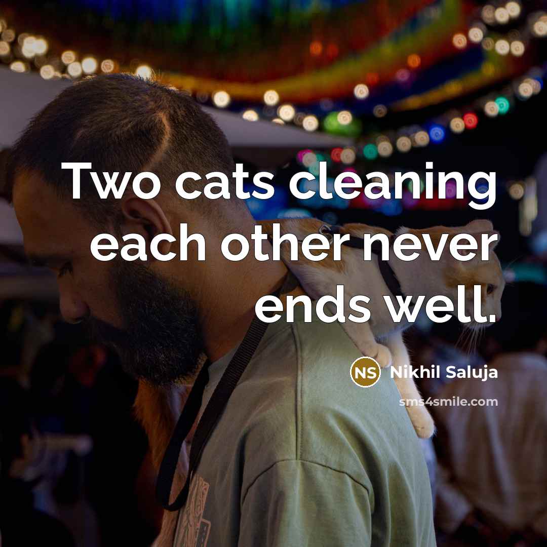 “Two cats cleaning each other never ends well.” quote by Nikhil Saluja