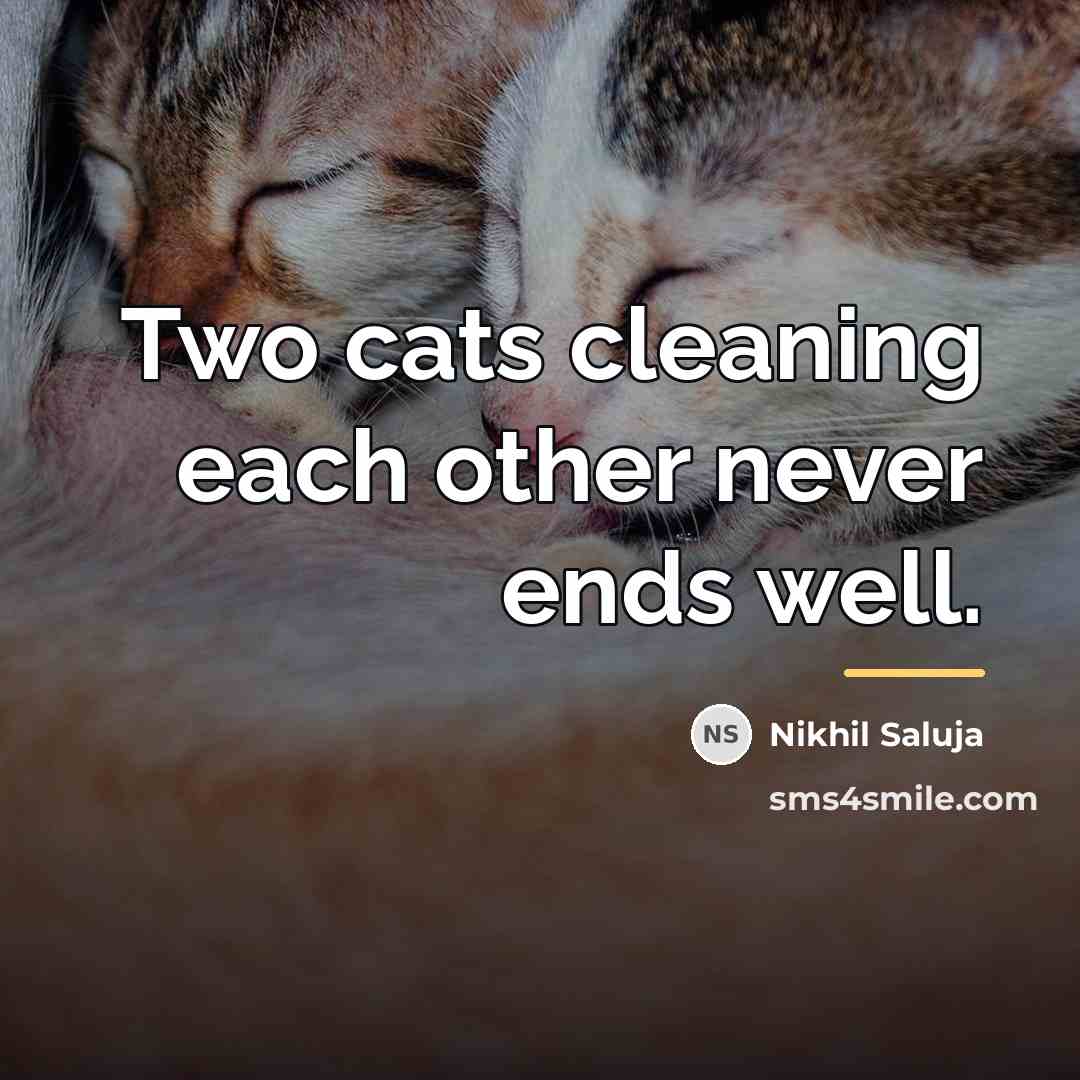 “Two cats cleaning each other never ends well.…” quote by Nikhil Saluja