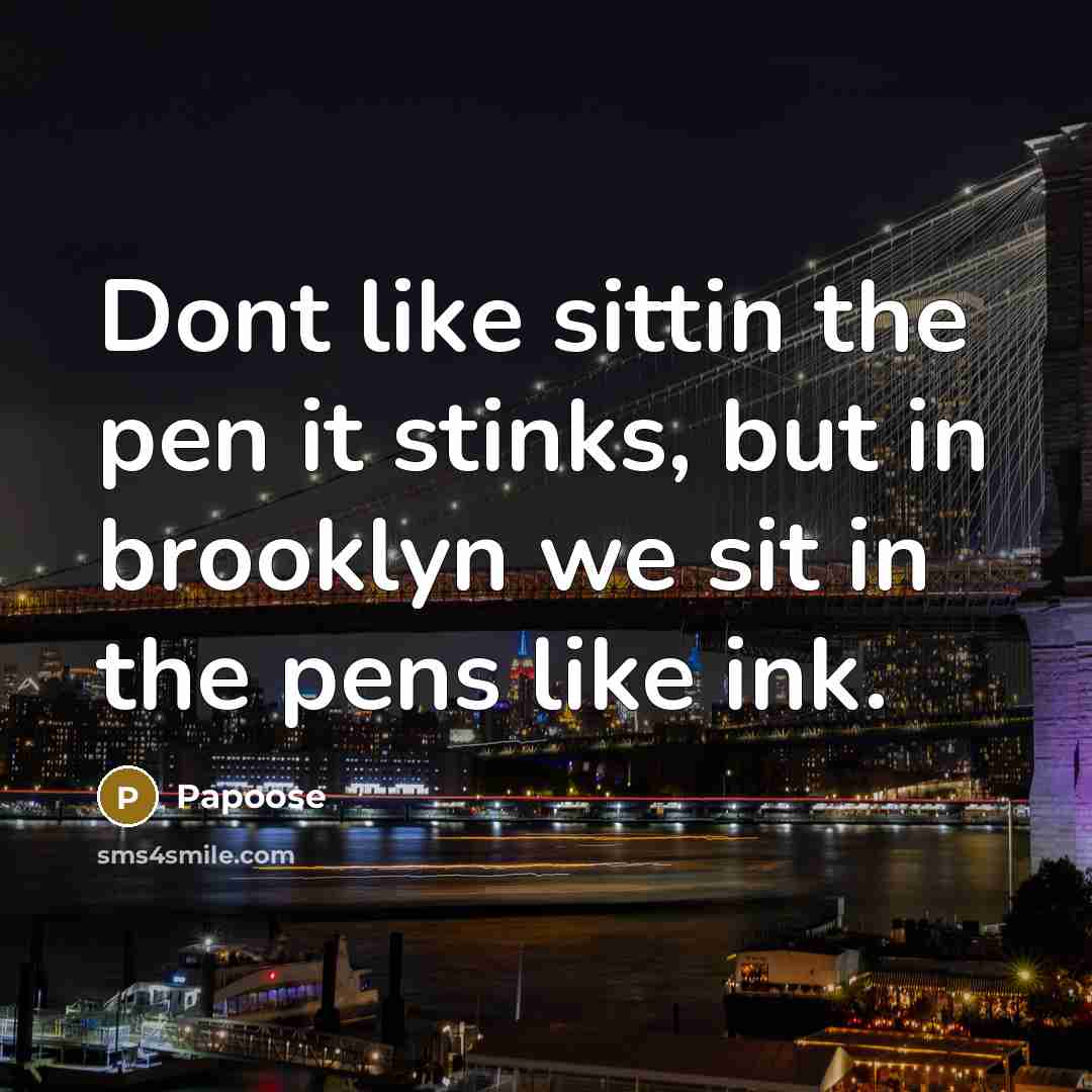“Dont like sittin the pen it stinks, but in brooklyn…” quote by Papoose