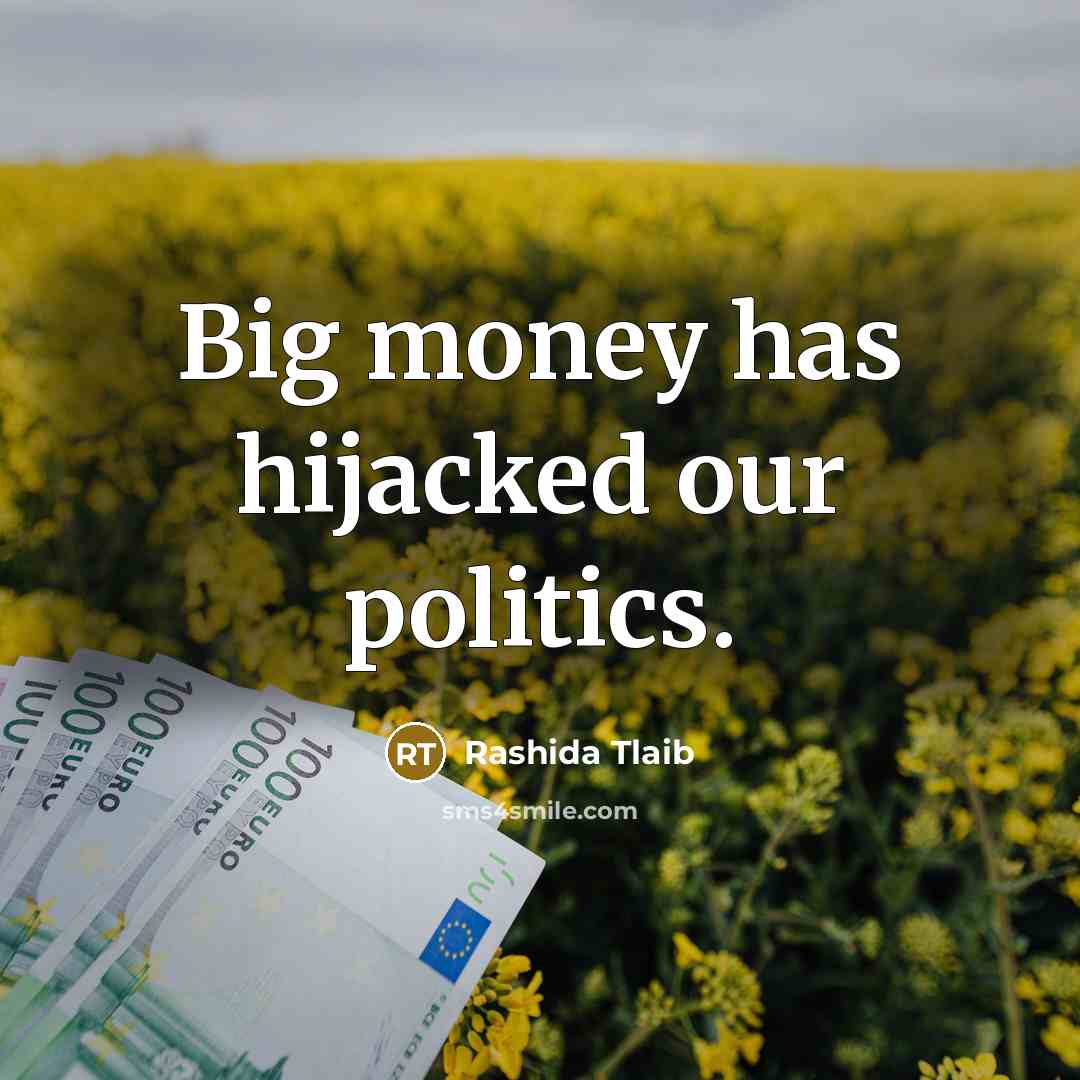 “Big money has hijacked our politics.…” quote by Rashida Tlaib