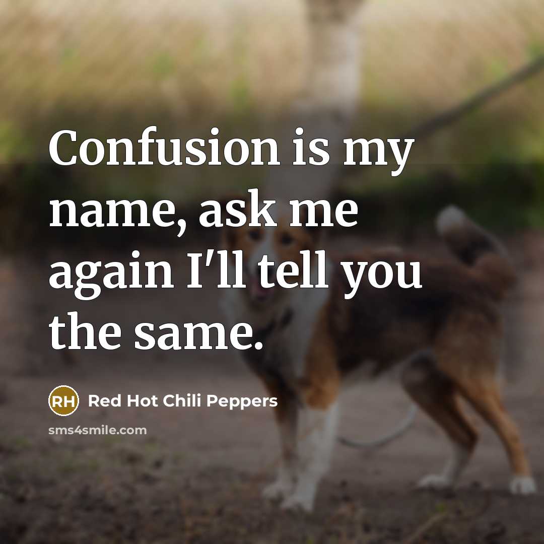“Confusion is my name, ask me again I'll tell you…” quote by Red Hot Chili Peppers