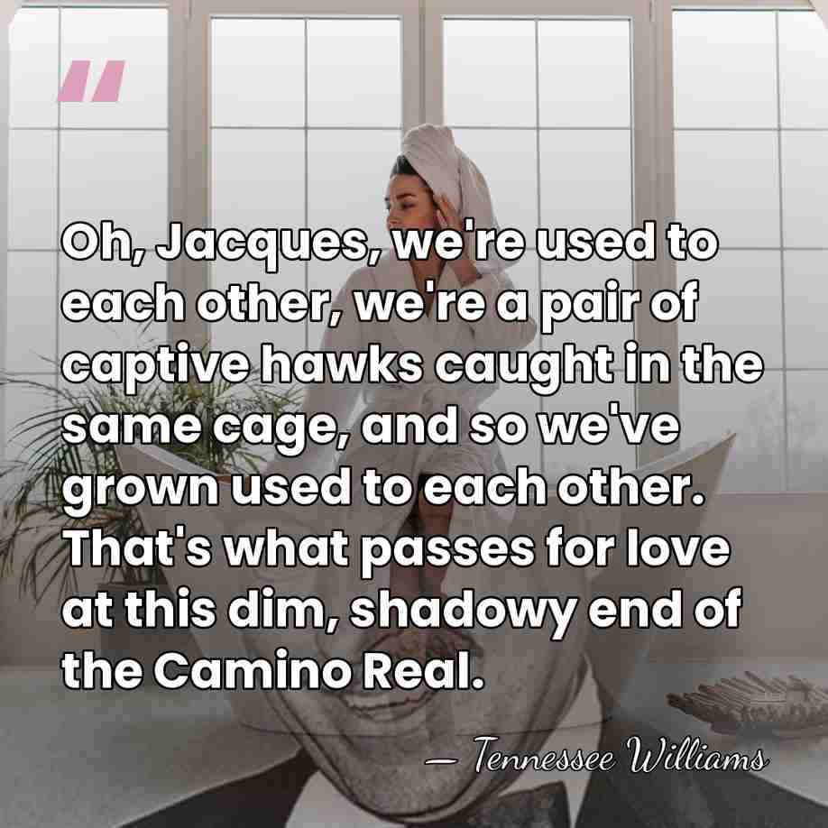 Oh, Jacques, we're used to each other, we're a pair of captive&hellip; - Tennessee Williams