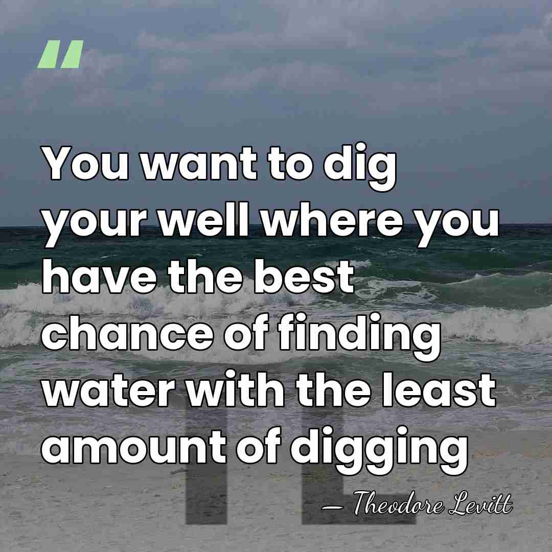 You want to dig your well where you have the best chance&hellip; - Theodore Levitt