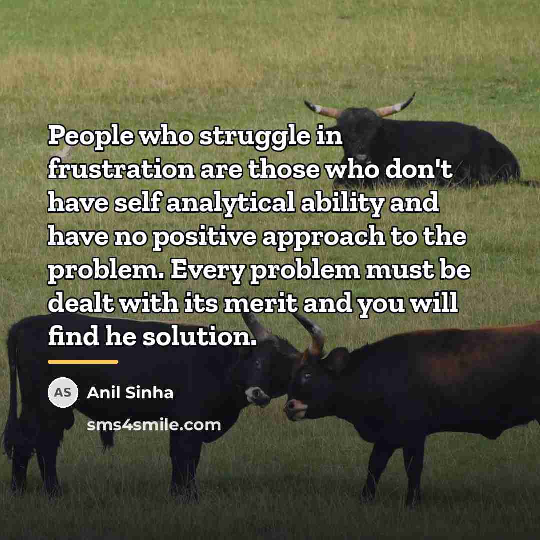 “People who struggle in frustration are those who don't have…” quote by Anil Sinha