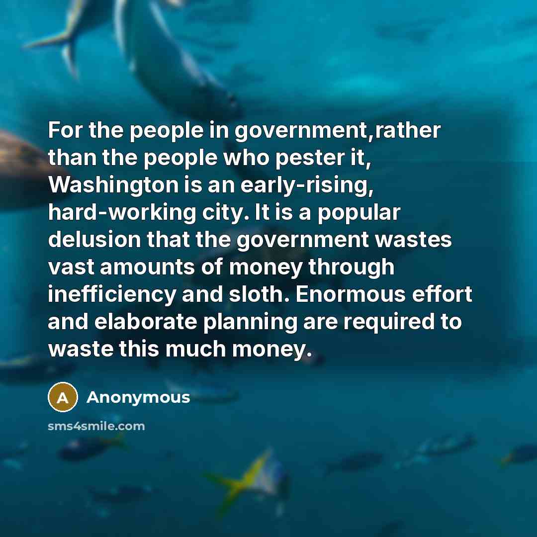 “For the people in government,rather than the people who pester it, Washington is an early-rising, hard-working city. It is a popular delusion that the government wastes vast amounts of money through inefficiency and sloth. Enormous effort and elaborate planning are required to waste this much money.” quote by Anonymous