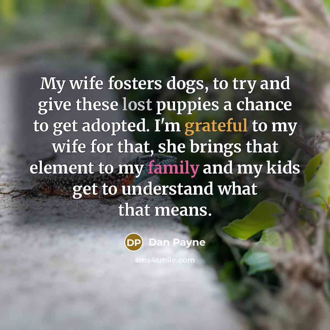 “My wife fosters dogs, to try and give these lost…” quote by Dan Payne