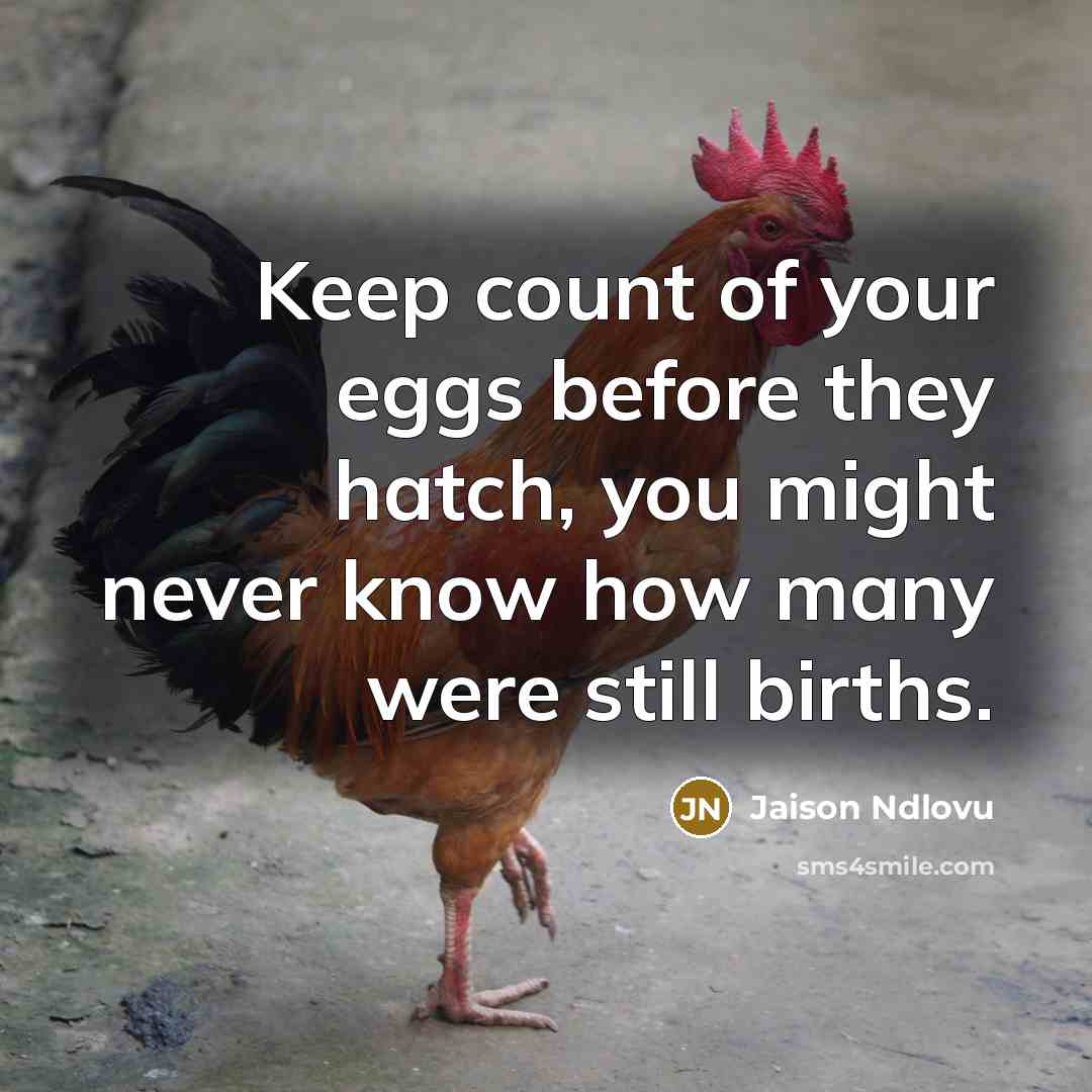 “Keep count of your eggs before they hatch, you might never know how many were still births.” quote by Jaison Ndlovu