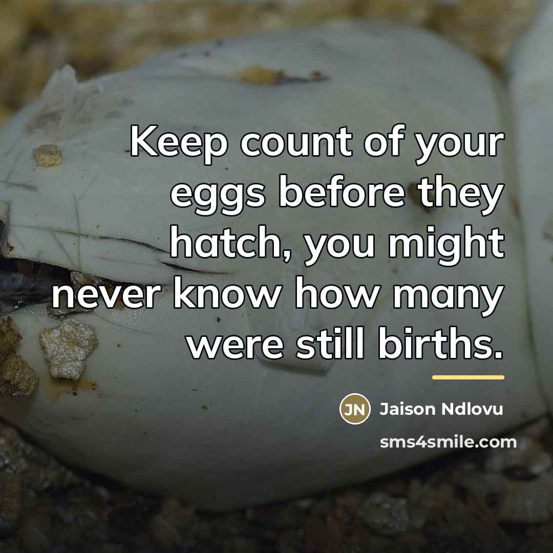 “Keep count of your eggs before they hatch, you might…” quote by Jaison Ndlovu