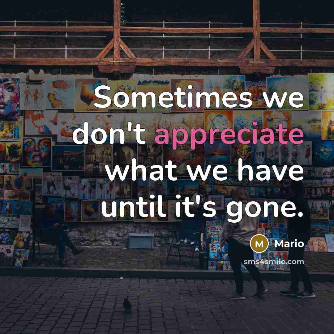 “Sometimes we don't appreciate what we have until it's gone.…” quote by Mario