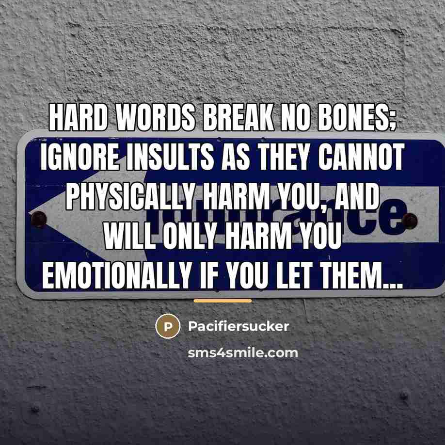 “Hard Words Break No Bones; Ignore Insults As They Cannot…” quote by Pacifiersucker