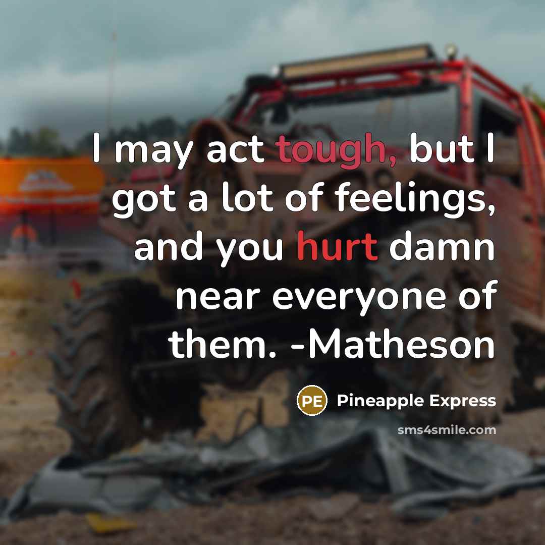 “I may act tough, but I got a lot of feelings, and you hurt damn near everyone of them. -Matheson” quote by Pineapple Express