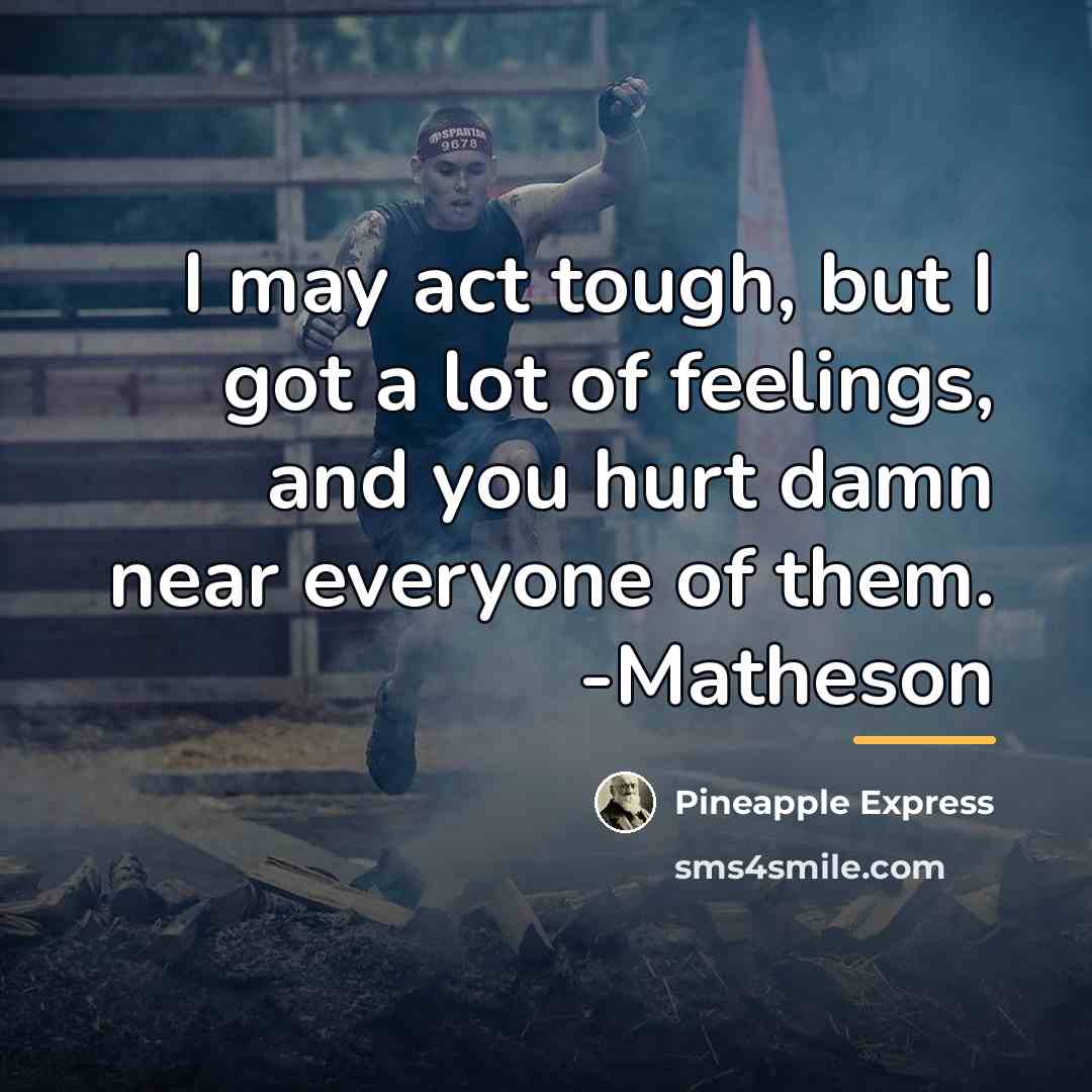 “I may act tough, but I got a lot of…” quote by Pineapple Express