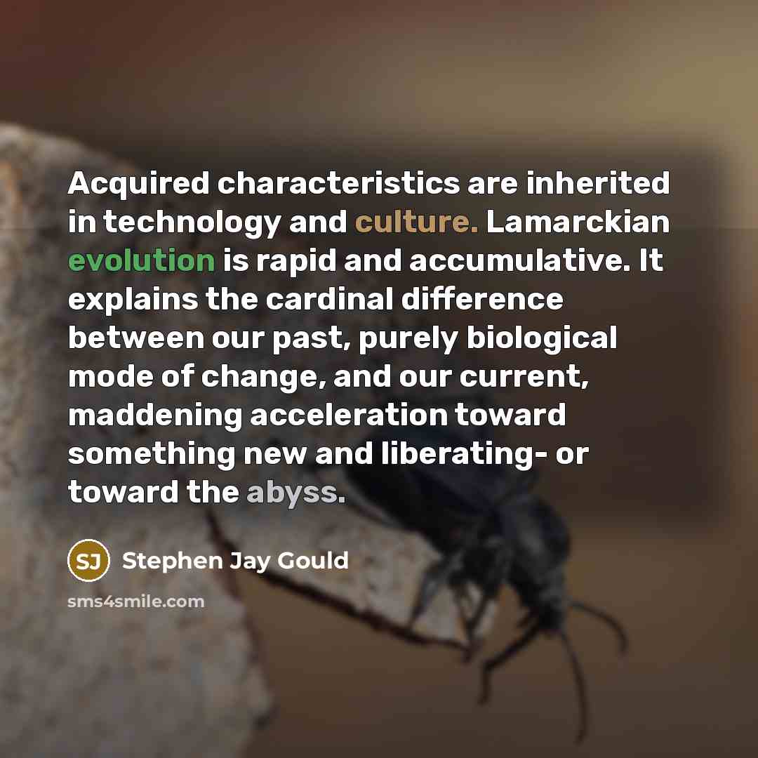“Acquired characteristics are inherited in technology and culture. Lamarckian evolution…” quote by Stephen Jay Gould