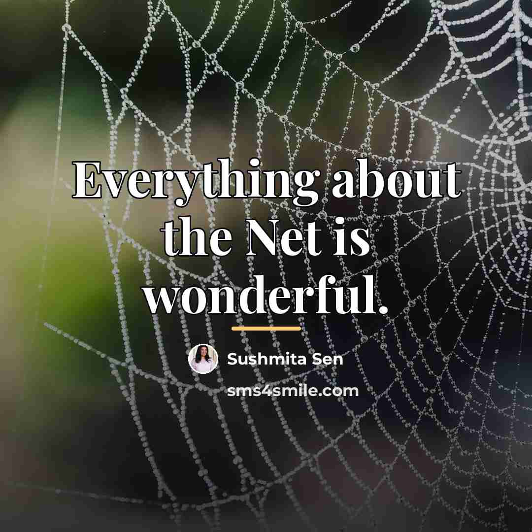 “Everything about the Net is wonderful.…” quote by Sushmita Sen