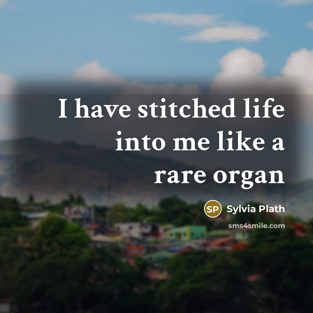 “I have stitched life into me like a rare organ…” quote by Sylvia Plath
