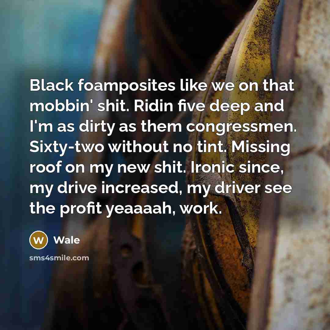 “Black foamposites like we on that mobbin' shit. Ridin five deep and I'm as dirty as them congressmen. Sixty-two without no tint. Missing roof on my new shit. Ironic since, my drive increased, my driver see the profit yeaaaah, work.” quote by Wale