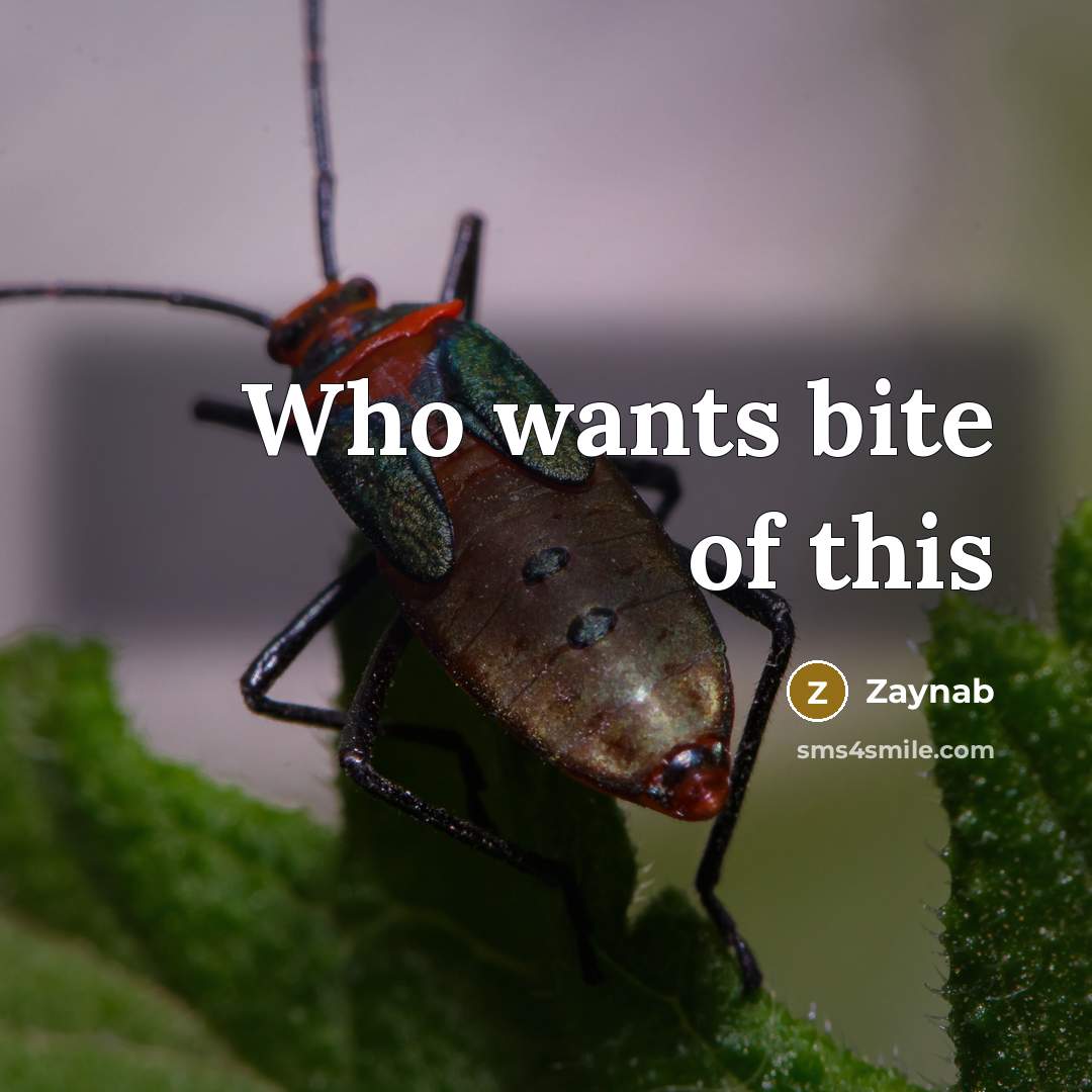 “Who wants bite of this” quote by Zaynab