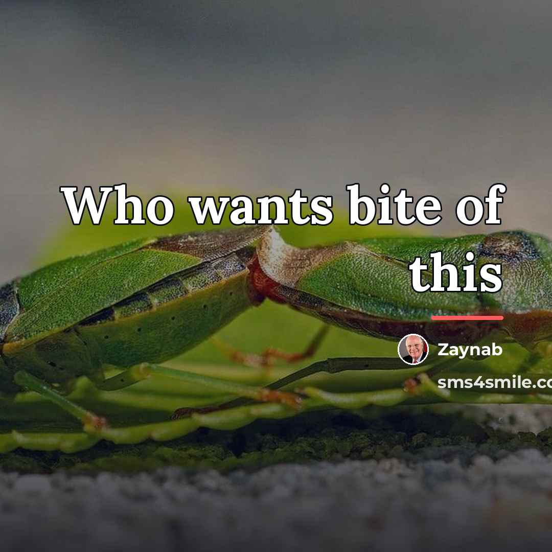 “Who wants bite of this…” quote by Zaynab