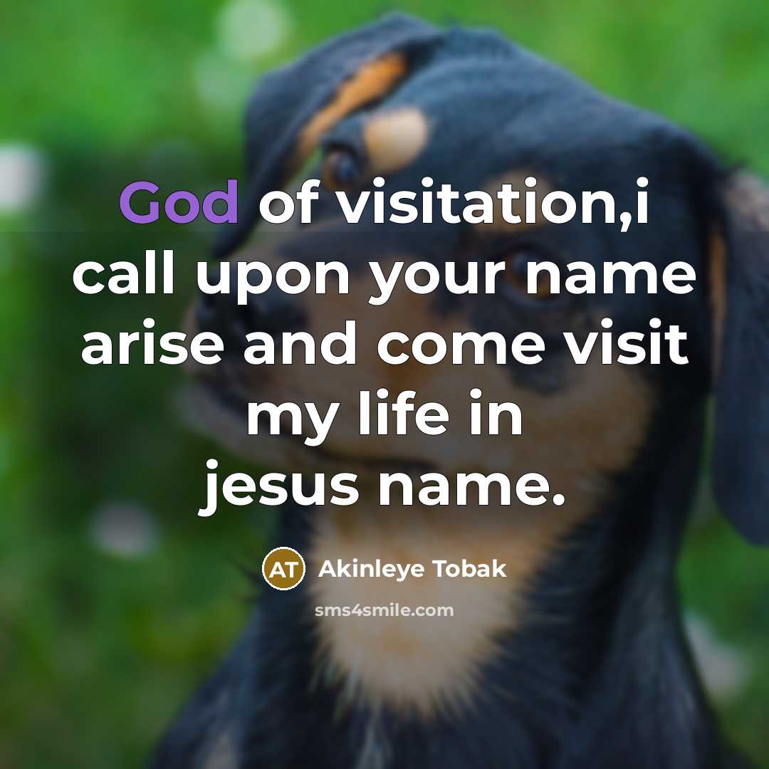 “God of visitation,i call upon your name arise and come visit my life in jesus name.” quote by Akinleye Tobak