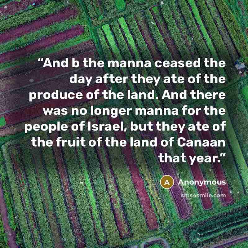 “And b the manna ceased the day after they ate of the produce of the land. And there was no longer manna for the people of Israel, but they ate of the fruit of the land of Canaan that year.” quote by Anonymous