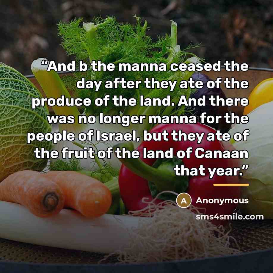 “And b the manna ceased the day after they ate of the produce of the land. And there was no longer manna for the people of Israel, but they ate of the fruit of the land of Canaan that year.” quote by Anonymous